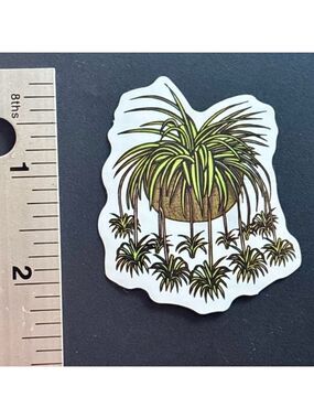 10/$10 Plant Aesthetic Sticker -Waterproof Vinyl Water Bottle Laptop Scrapbook